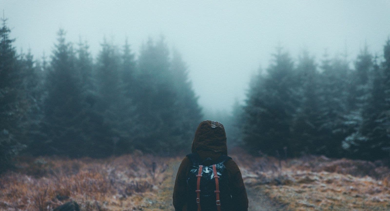 Fog